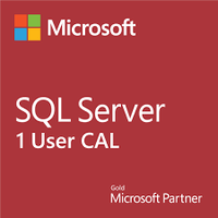 Thumbnail for Microsoft Software SQL Server 2019 User CAL