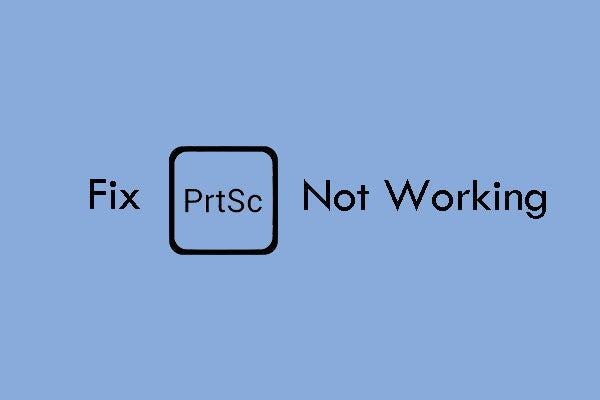 Print Screen Not Working on Windows 11: How to Fix it