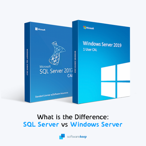 What's the Difference Between SQL Server and Windows Server?