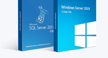 The Difference Between SQL Server and Windows Server