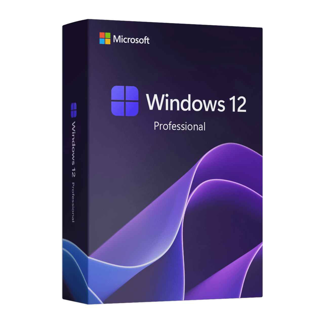 Microsoft Software Microsoft Windows 12 Professional