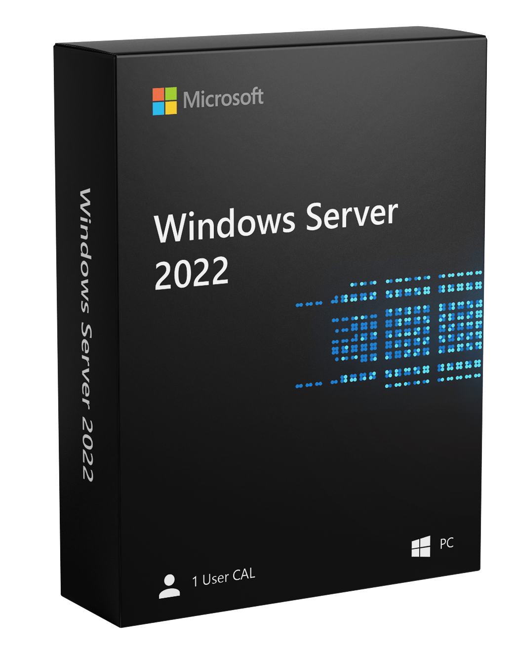 Microsoft Software Windows Server 2022 - 1 User CAL box
