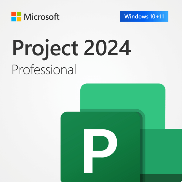 SoftwareKeep Microsoft Project 2024 Professional