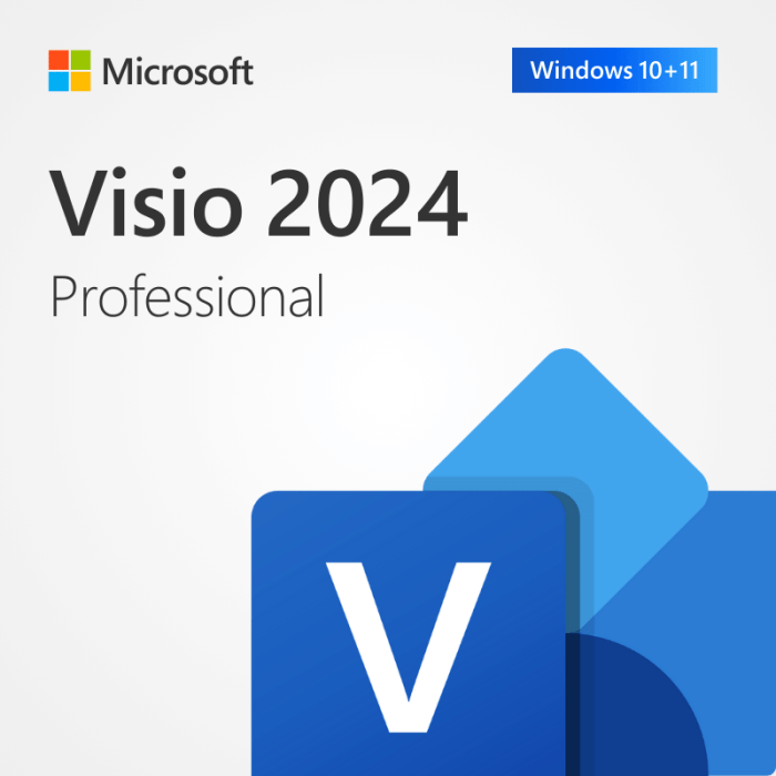 SoftwareKeep Microsoft Visio 2024 Professional